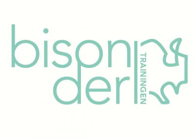 Bisonder trainingen logo, huisstijl en website